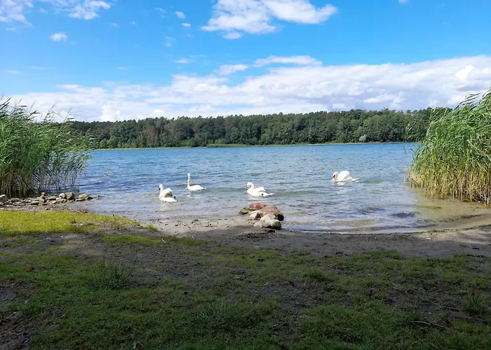 Fuer 6 Personen In Lejlighed Strausberg