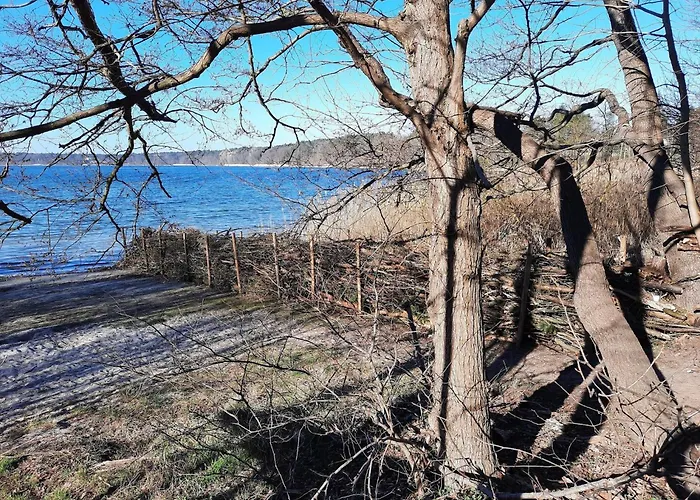 Fuer 6 Personen In Lejlighed Strausberg